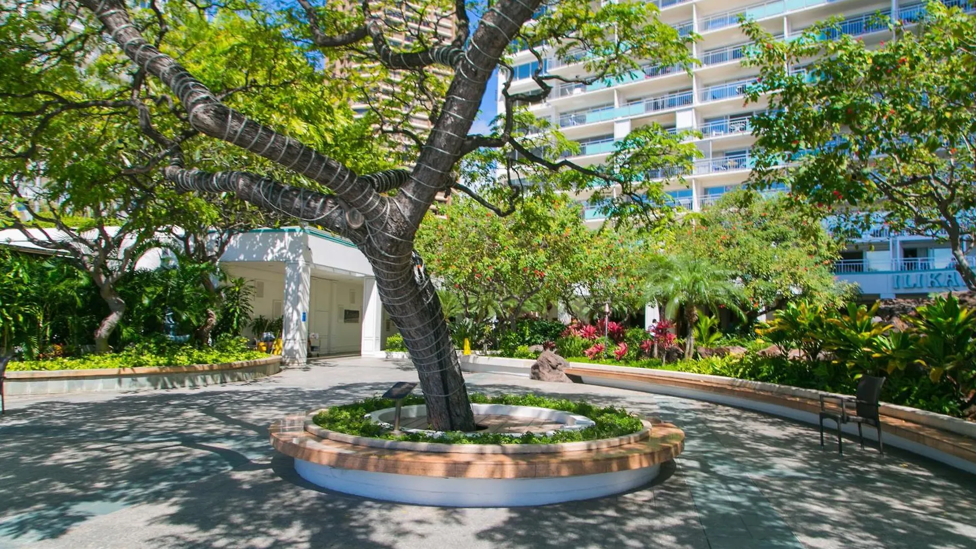 Ilikai Tower 430 Lagoon View 1Br Гонолулу Апартаменты